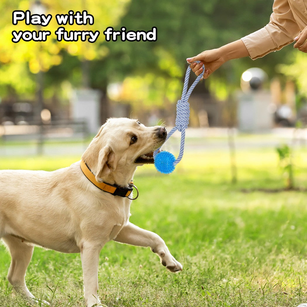 Dog Chew Toys Squeaky Puppy Pet Rope Plush Toy Teething 5 Styles