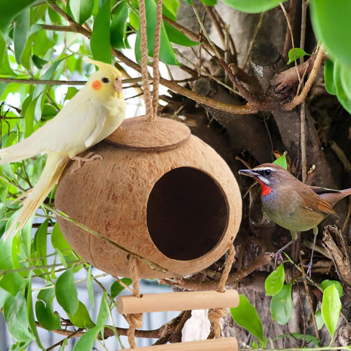 Eco-Friendly Coconut Shell Bird Nest Safe Parrot Parakeet Home Cage Feeder Hut