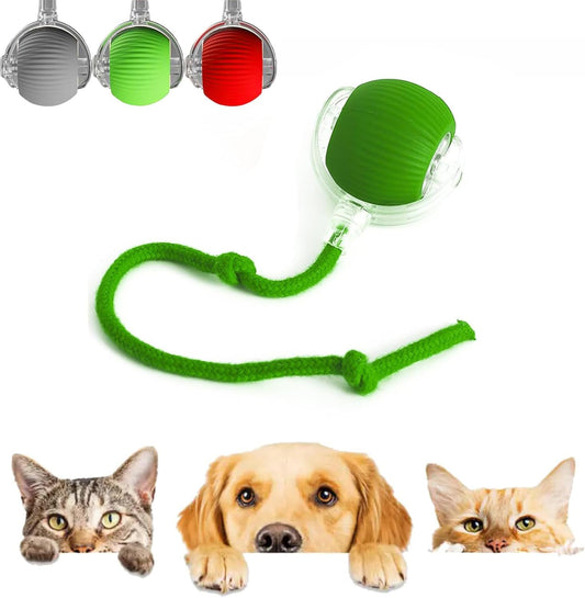 Interactive Rolling Ball for Cats & Dogs
