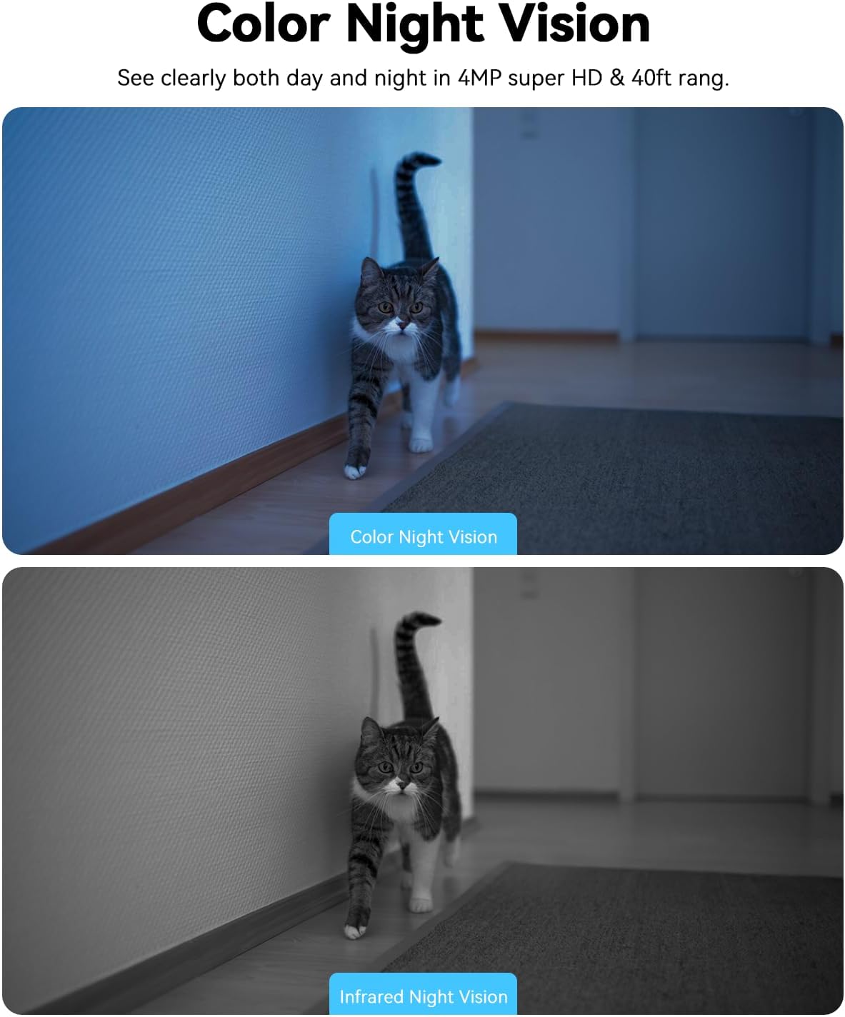 4K Indoor Pet Camera