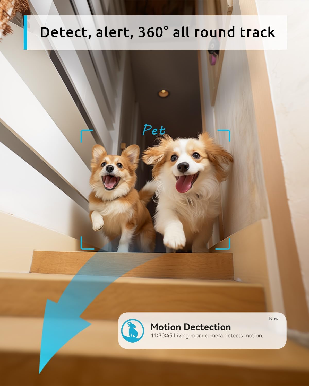 2K Indoor 360° Pet Security Camera