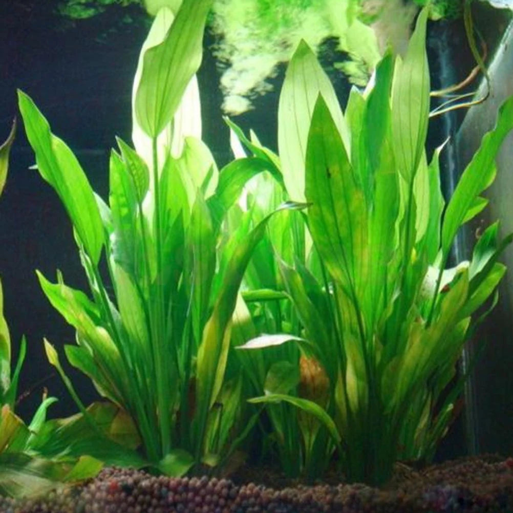 Plastic Manmade Water Plant Grass Green 15Cm Height for Aquarium Simulation Artificial Plants Decor Akvaryum Dekor