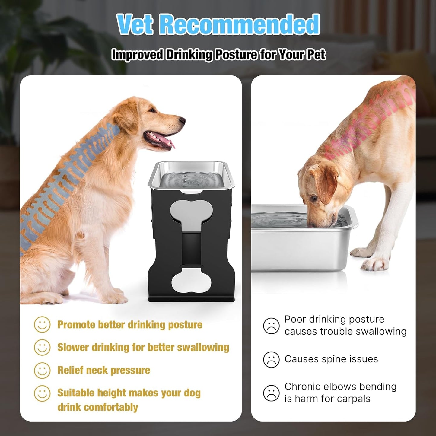 9.1 L Elevated Large Dog Water Bowl
