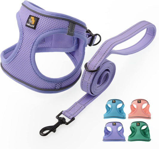 Puppy Harness with Leash Set, Dog Harness for Small Dogs No Pull, Dog Leash for Puppy, Step in Harness for Extra Small Dogs, Purple Lavender Harness, XS