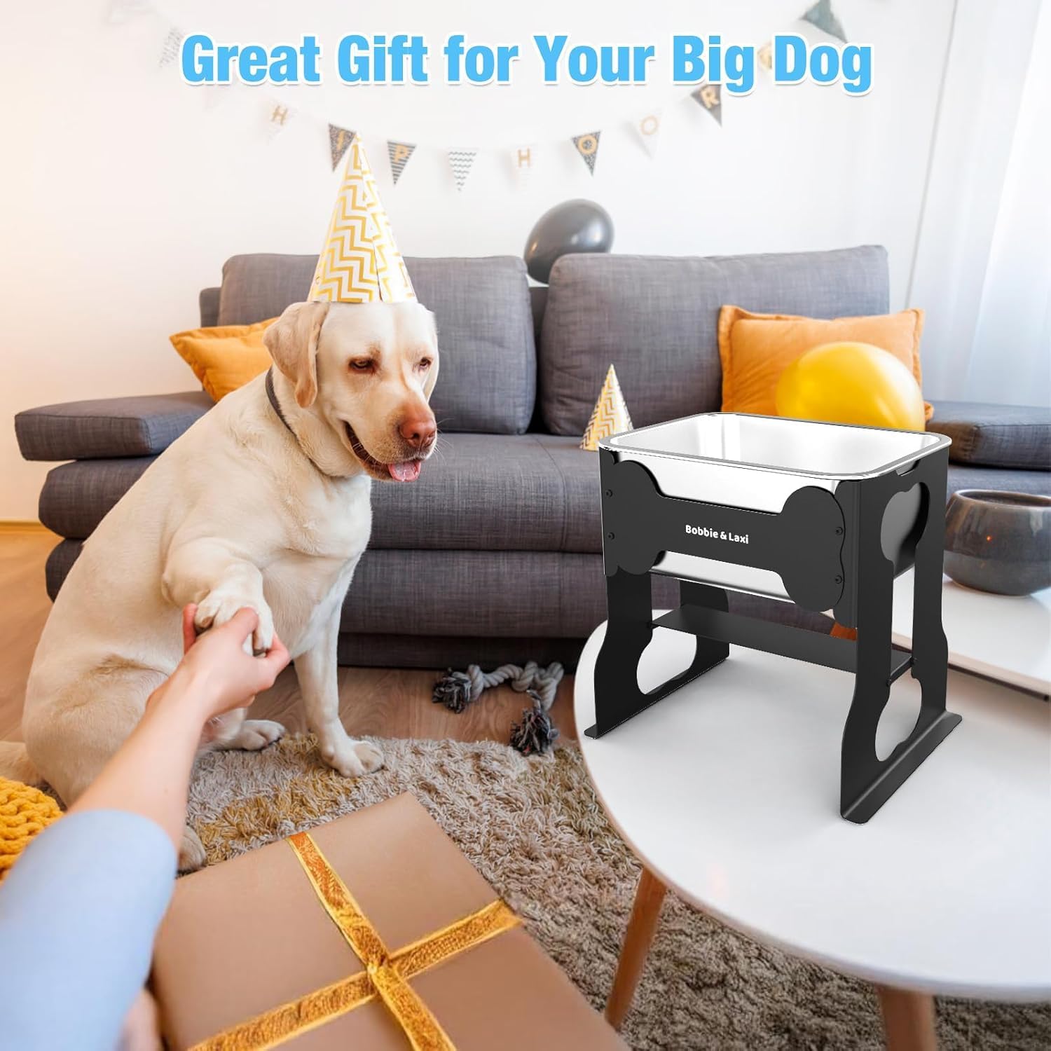 9.1 L Elevated Large Dog Water Bowl