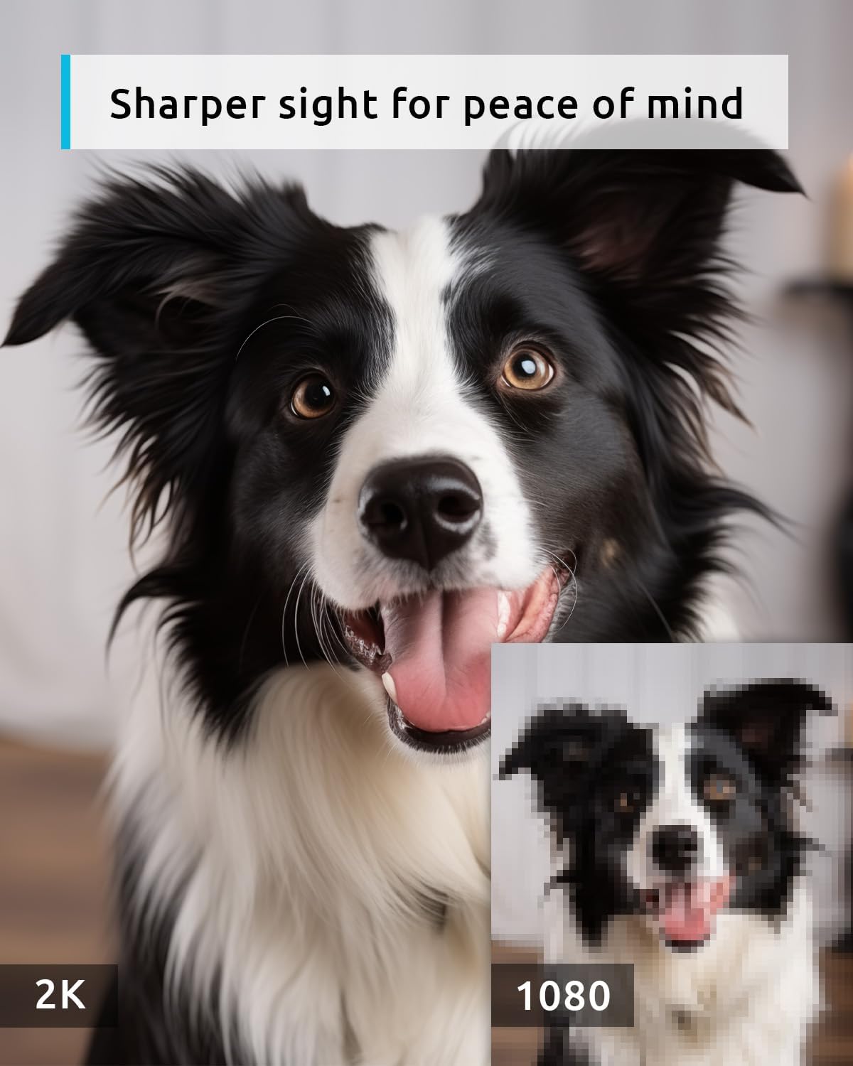 2K Indoor 360° Pet Security Camera
