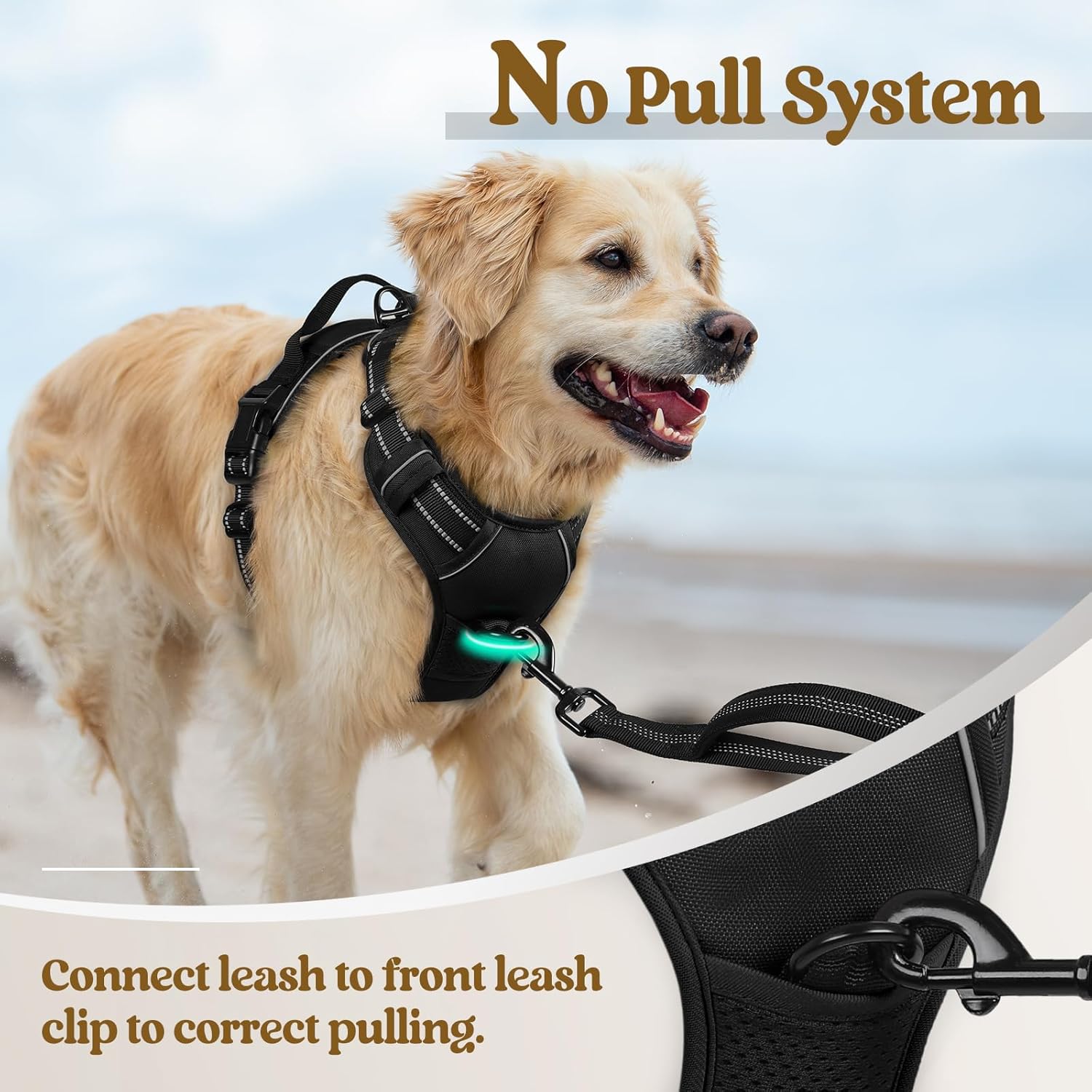 No-Pull Adjustable Dog Harness