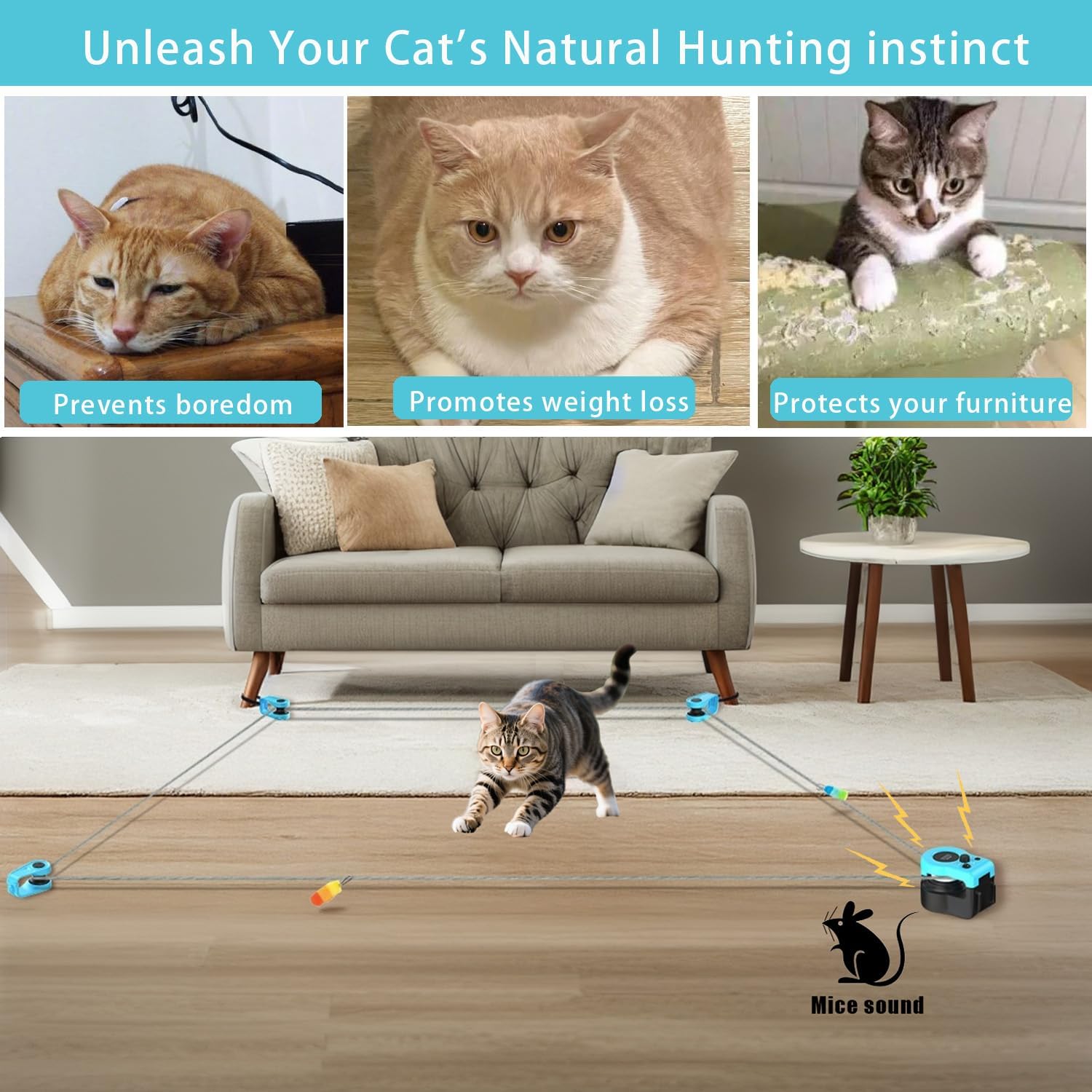 Interactive Cat Running Toys for Indoor Cats, Auto/Remote Control DIY Cat Treadmill Chase Toy, Mouse Hunting Feather Toys for Bored Kitten Dog Enrichment, Exercise, Mental Stimulation
