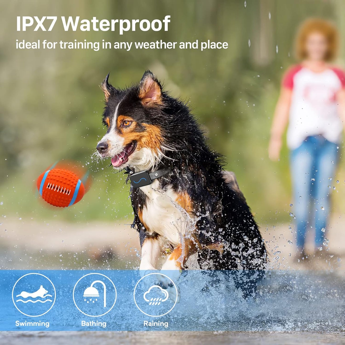 Training Collar, Training Collar with Remote for Small, Medium, Large Dogs with Vibration, Beep, Security Lock, and Waterproof