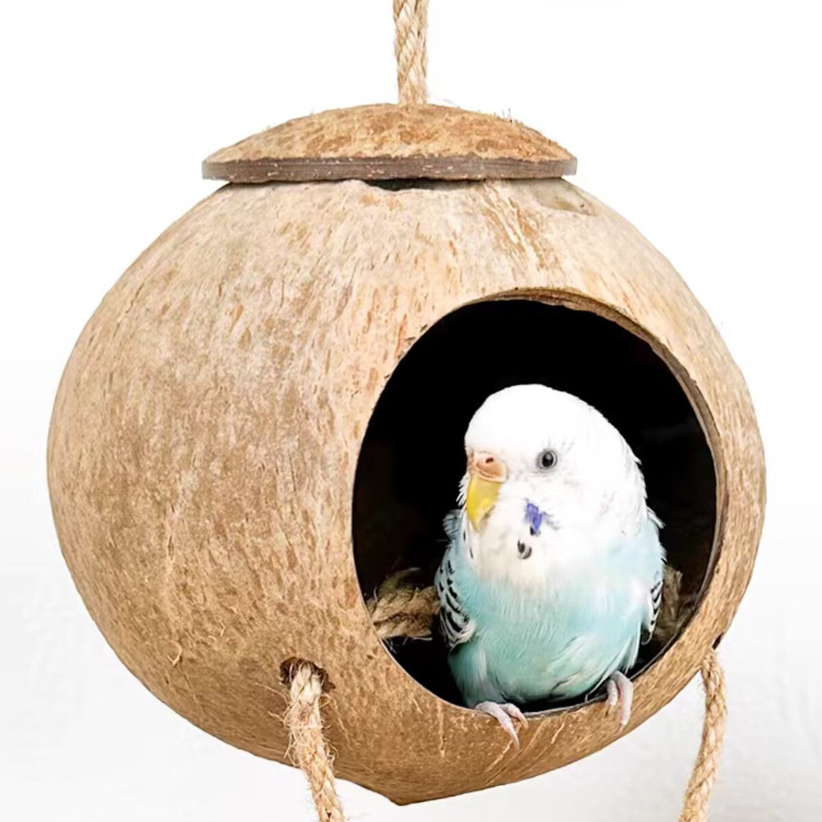 Eco-Friendly Coconut Shell Bird Nest Safe Parrot Parakeet Home Cage Feeder Hut