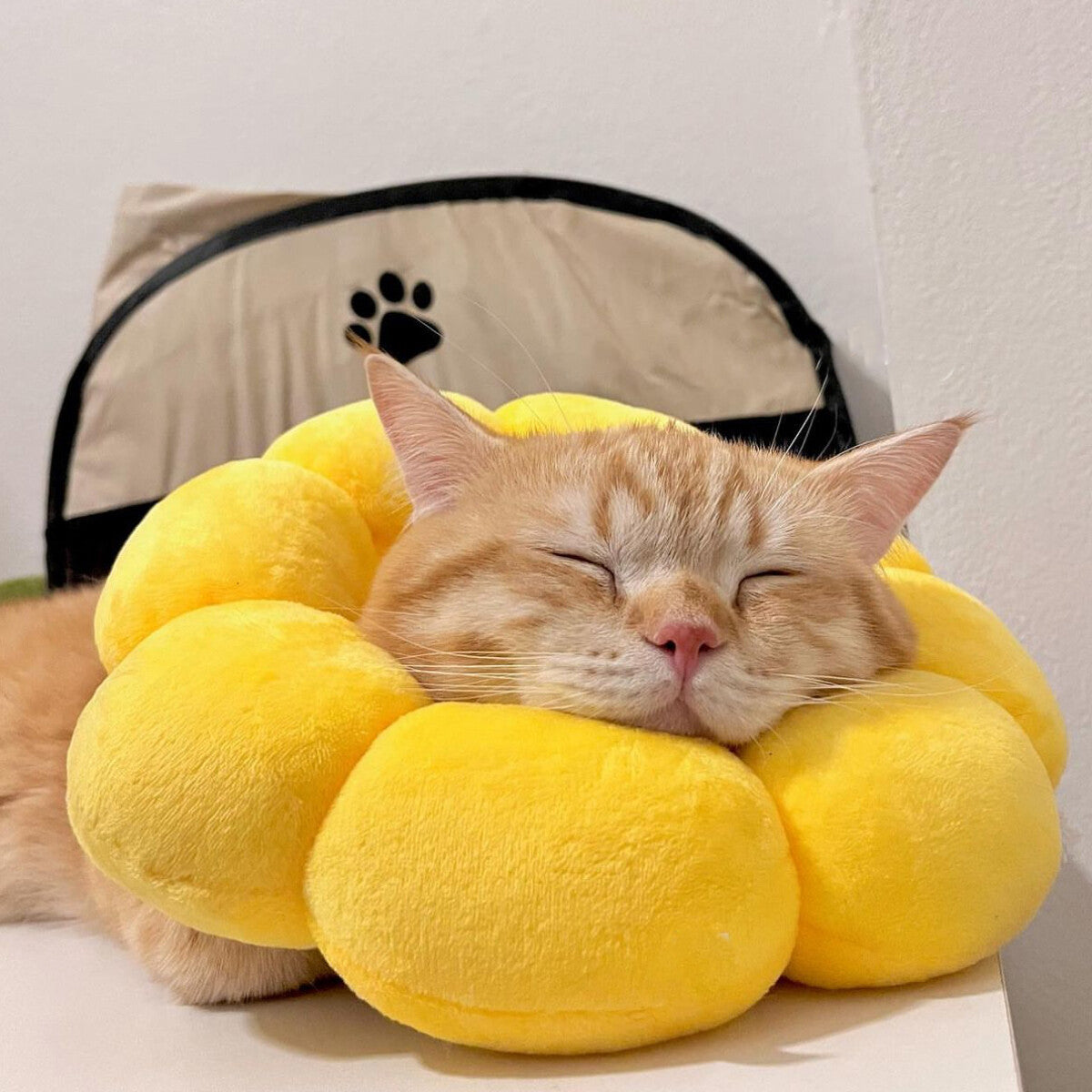 Sunflower Collar for Cats and Dogs anti Licking Sterilization
