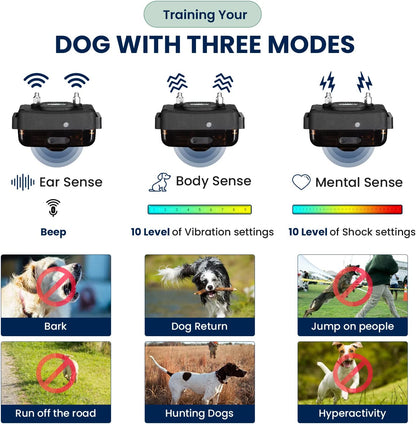 2KM (1.25 Mile/6600 Ft) Long Range Dog Training Collar Safe Shock Collar with Remote Shock,Vibrate,Tone, Flashing Beacon Lights Waterproof Rechargeable Dog Hunting Add up to 3 Collars