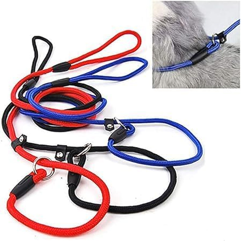 Red Dog Leash Pet Nylon Rope Training Leash Slip Lead Strap Adjustable Traction Collar and Behavior Aids