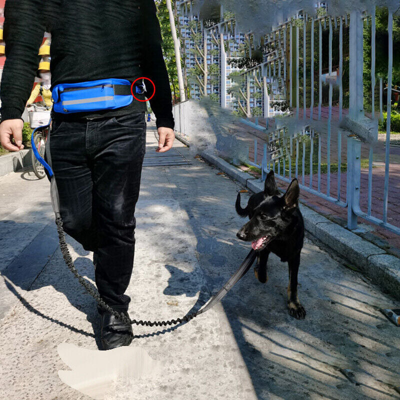 Adjustable Hands-Free Dog Leash Lead + Waist Bag Belt