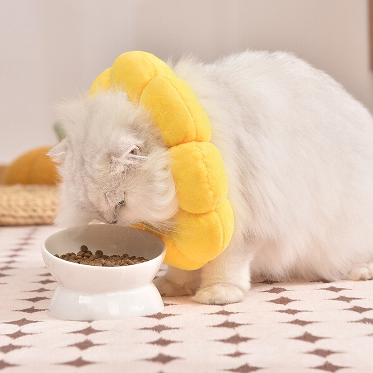 Sunflower Collar for Cats and Dogs anti Licking Sterilization