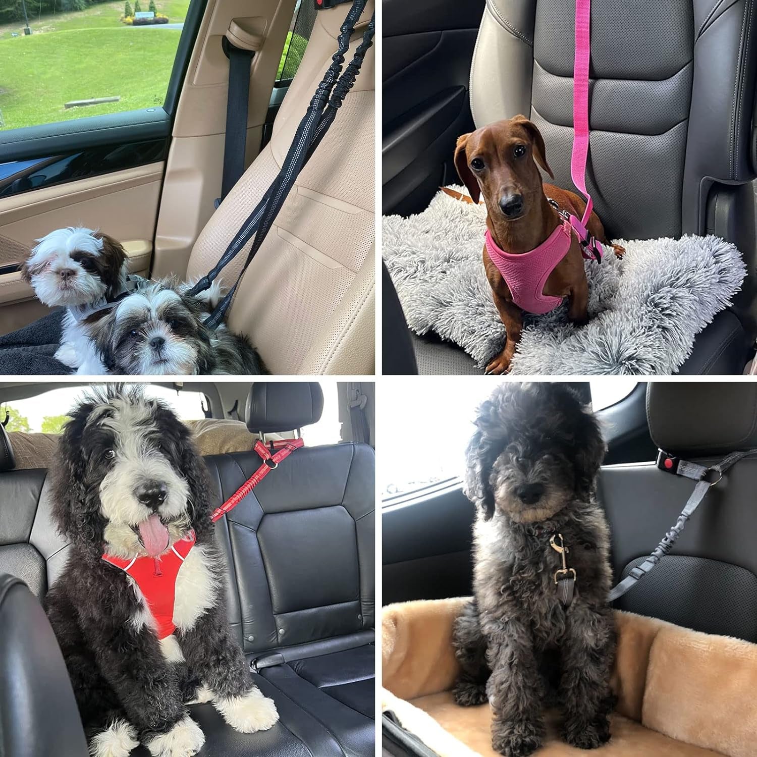Adjustable Dog & Cat Safety Seat Belt Straps - 2 Pack Reflective Bungee Restraints for Vehicle Harnesses