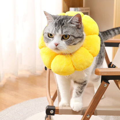 Sunflower Collar for Cats and Dogs anti Licking Sterilization