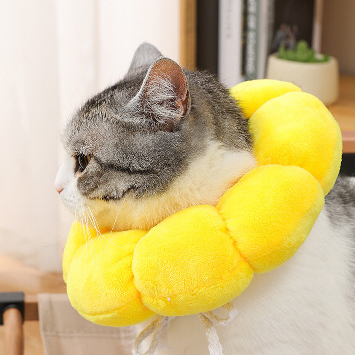 Sunflower Collar for Cats and Dogs anti Licking Sterilization