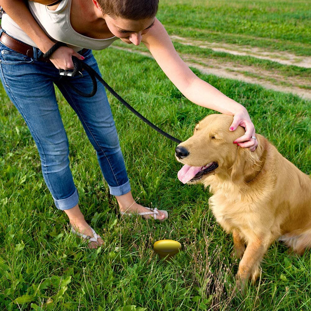 Pee Post Pheromone Stake for Dogs,