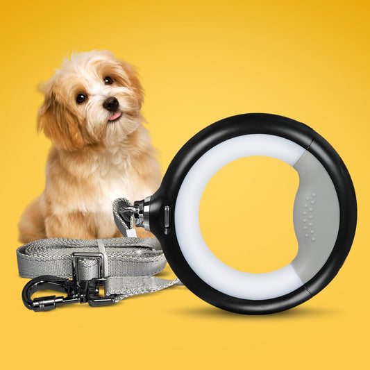 LED Dog Leash Lead Walking Rope Flashlight Heavy Duty Nylon Extendable 2M