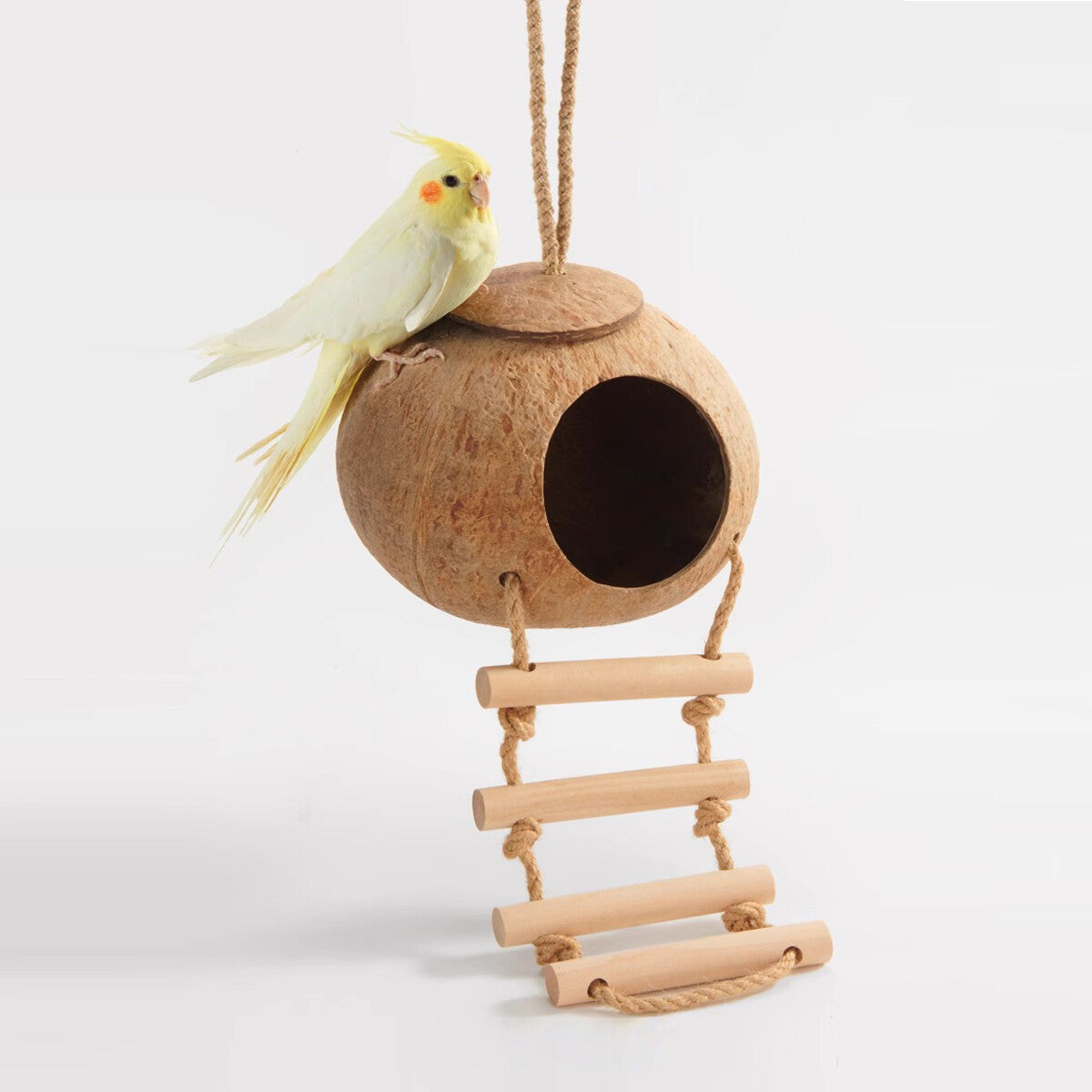 Eco-Friendly Coconut Shell Bird Nest Safe Parrot Parakeet Home Cage Feeder Hut