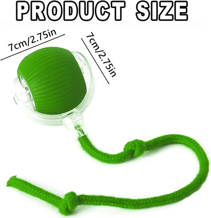 Interactive Rolling Ball for Cats & Dogs