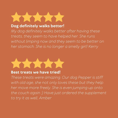 ™ by Australian Pet Organics Certified Organic Hip and Joint Dog Treat 150G