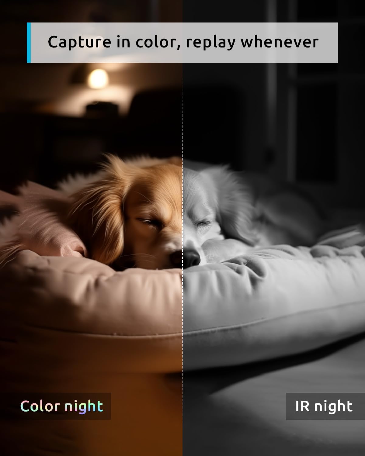 2K Indoor 360° Pet Security Camera