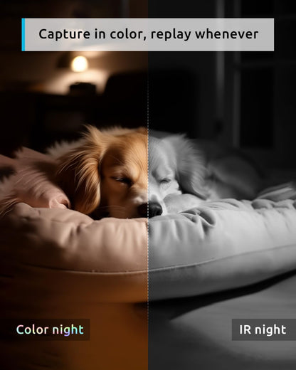 2K Indoor 360° Pet Security Camera