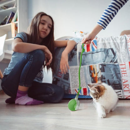 Interactive Rolling Ball for Cats & Dogs