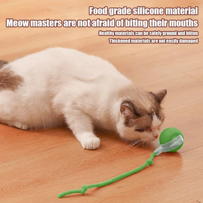 Interactive Rolling Ball for Cats & Dogs