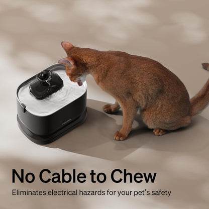 Cordless Cat Water Fountain