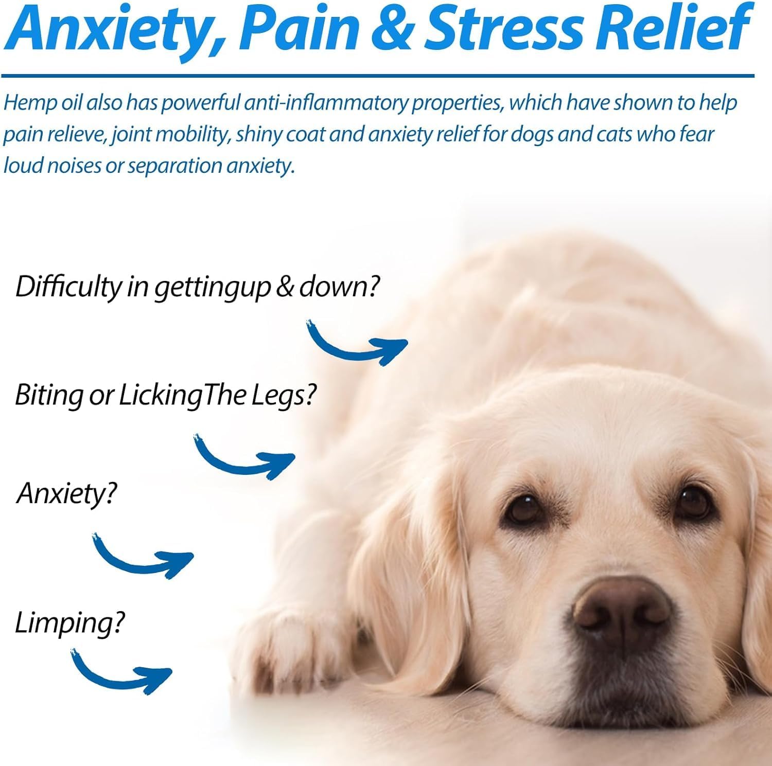 Hemp Oil for Dogs & Cats - Anxiety & Stress Relief - Supports Joint, Hip, Skin & Coat Health - Natural Sleep Aid - 60Ml - Vet-Recommended