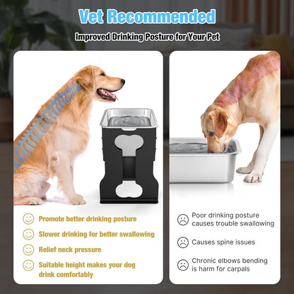 9.1 L Elevated Large Dog Water Bowl