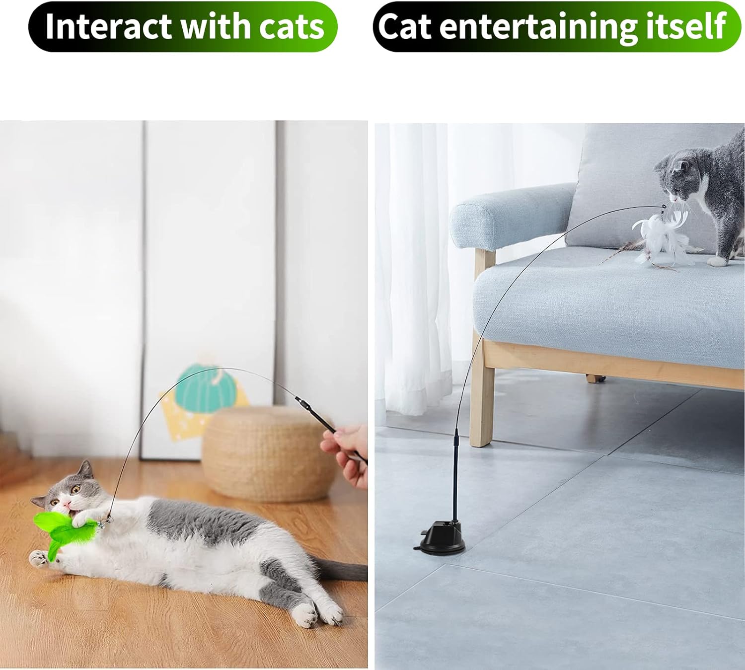 5 Pcs Feather Teaser Cat Toy