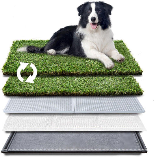 Dog Grass Pad with Tray - Dog Litter Box with 2 Artificial Grass Pads +​Highly Absorbent Puppy Pad- Potty Tray for Balcony Apartment Indoor Outdoor Use - 50.8 X 76.2 Cm