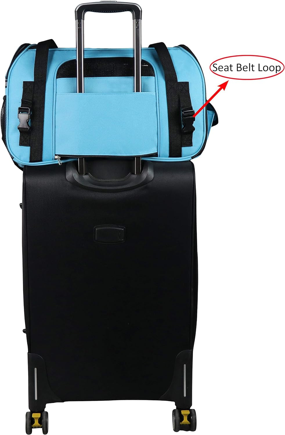 Soft Sided Pet Carrier (3 Year Warranty, Airline Approved), Multiple Sizes and Colors Available (Medium: 17" L X 9" W X 12" H, Sky Blue)