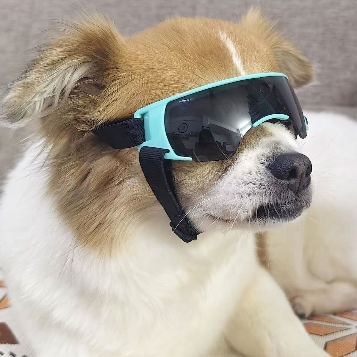 Dog Sunglasses UV Eye Protection Goggles 