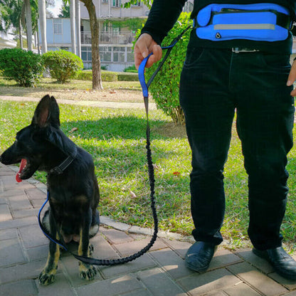 Adjustable Hands-Free Dog Leash Lead + Waist Bag Belt