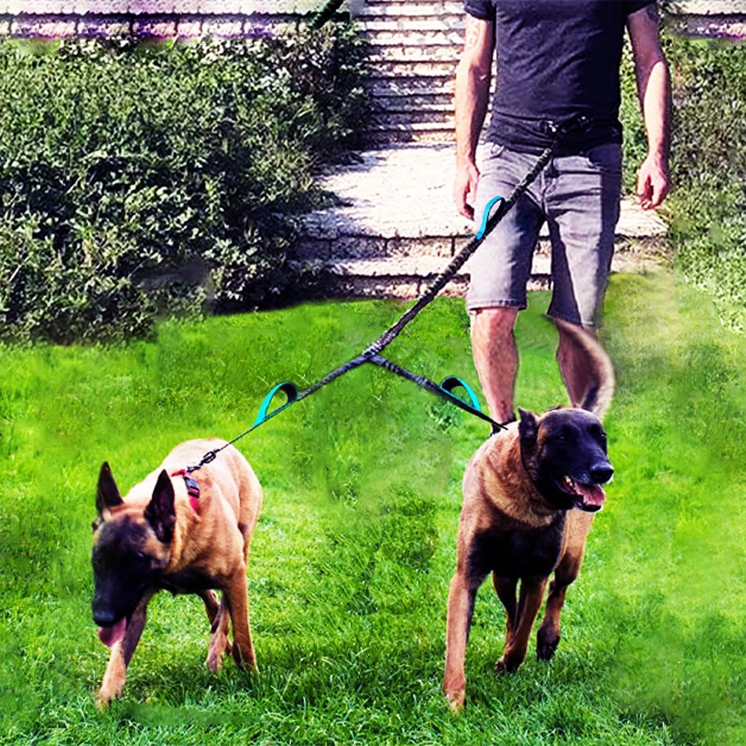 Wikiray Premium Hands-Free Double Dog Lead with Durable Metal Buckle, Adjustable Coupler & Comfortable Handle Pad – Versatile Design for Walking One or Two Dogs (Gray)