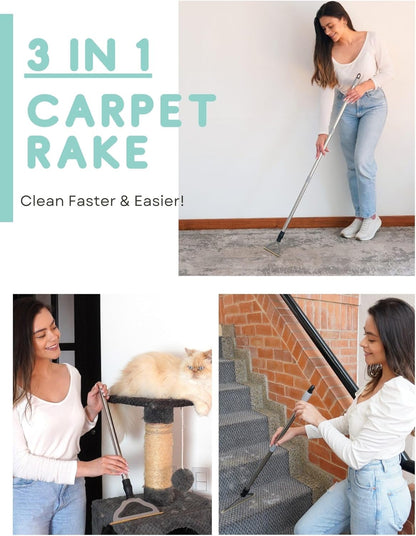 Pet Hair Remover for Carpet