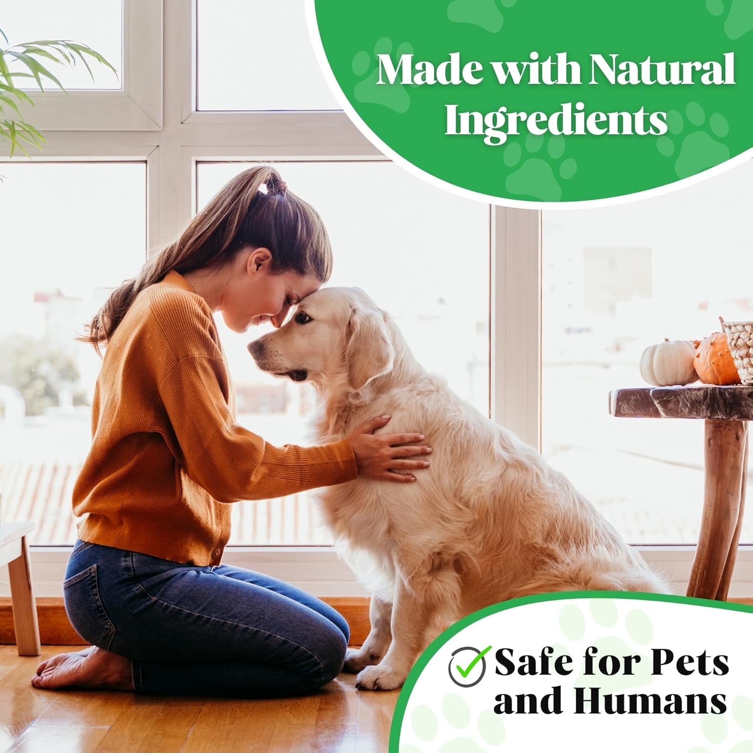 Stop Bites Spray for Dogs – Natural Anti-Chew Spray for Furniture, Shoes, Curtains, & More | Safe Puppy & Adult Dog Training Aid | No Chew Solution