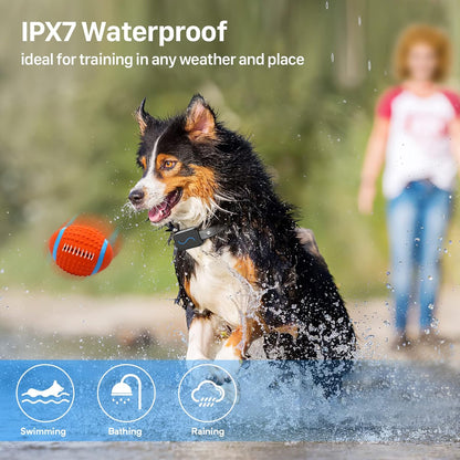 Training Collar, Training Collar with Remote for Small, Medium, Large Dogs with Vibration, Beep, Security Lock, and Waterproof