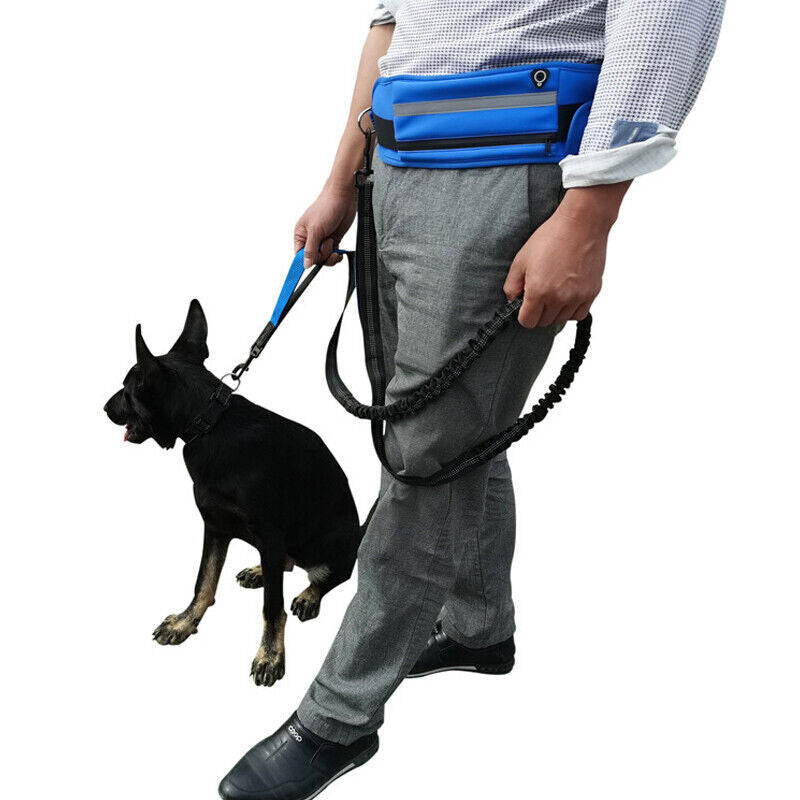 Adjustable Hands-Free Dog Leash Lead + Waist Bag Belt