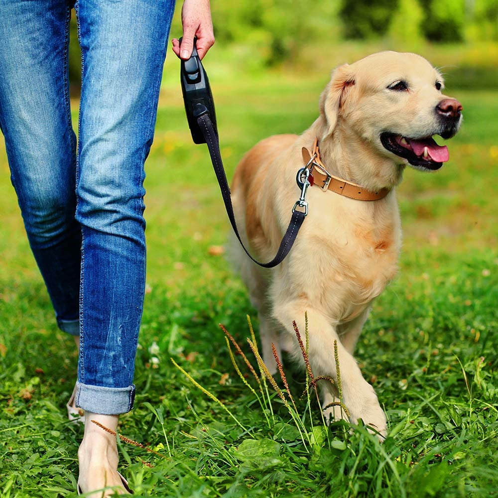 Pee Post Pheromone Stake for Dogs,