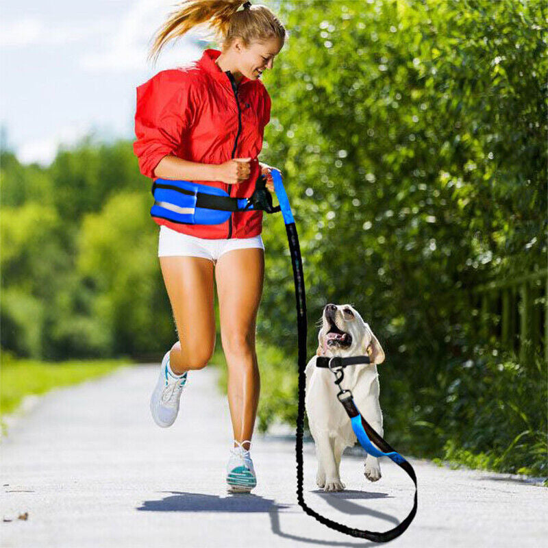 Adjustable Hands-Free Dog Leash Lead + Waist Bag Belt