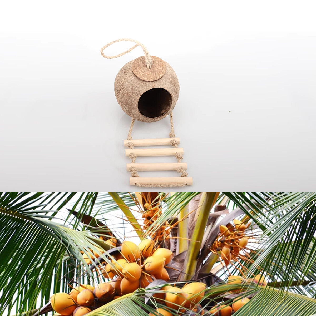 Eco-Friendly Coconut Shell Bird Nest Safe Parrot Parakeet Home Cage Feeder Hut