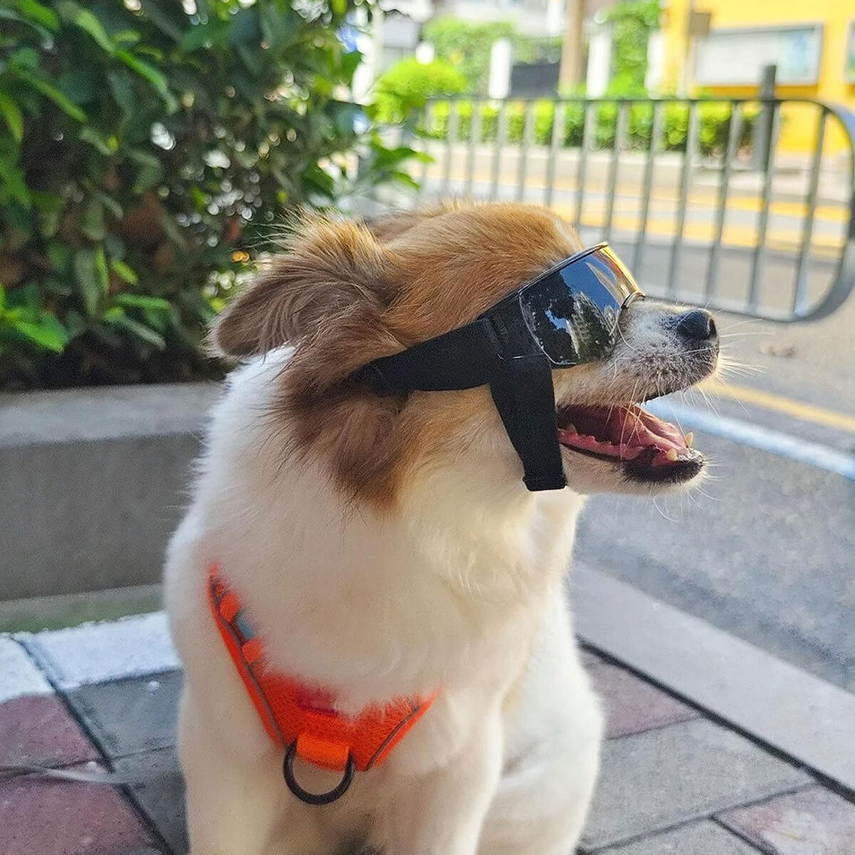 Dog Sunglasses UV Eye Protection Goggles 