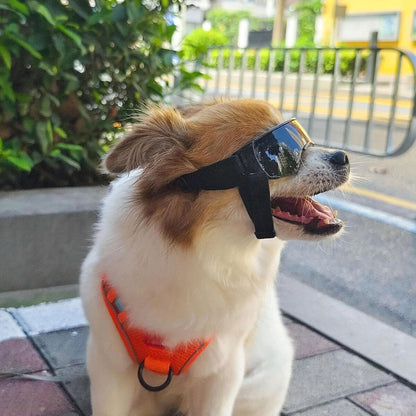Dog Sunglasses UV Eye Protection Goggles 