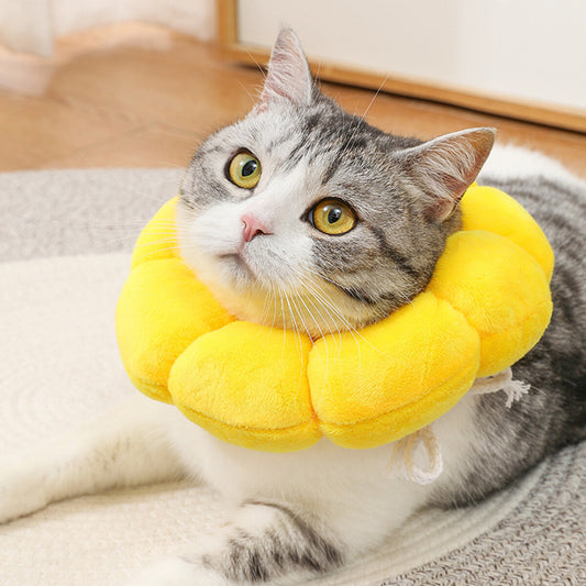 Sunflower Collar for Cats and Dogs anti Licking Sterilization